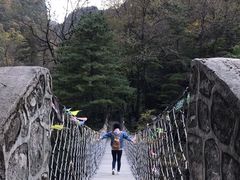 -青峰峡国家森林公园