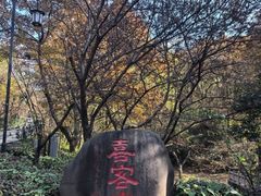 -句容茅山景区