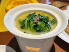 -觀芷隐轩
