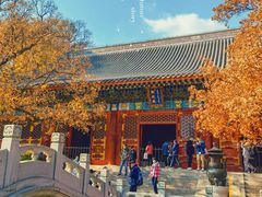-香山公园