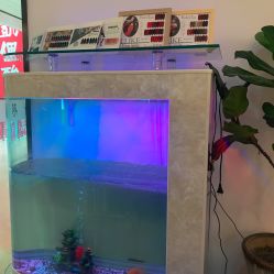 -纤指百魅美甲美睫