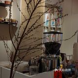 咖啡探店一第九百九十三家GUN COFFEE51个蛋壳联合