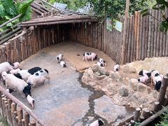 -泉州海丝野生动物世界