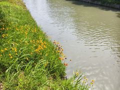 -菊园百果园
