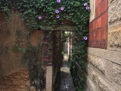 -蔡氏古民居建筑群