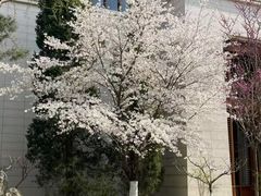 -钓鱼台国宾馆