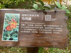 -南宫五洲植物乐园