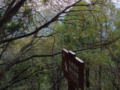 -青州市云门山风景区