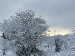 -太子岭滑雪场