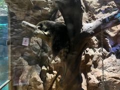 -南昌融创海世界