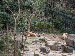 -宁波野生动物园