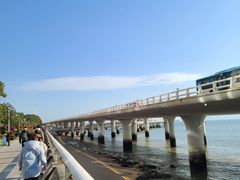 -演武大桥观景平台