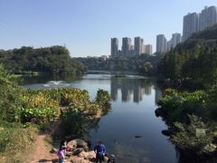 -重庆彩云湖湿地公园