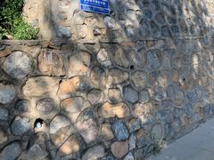 -云岗森林公园