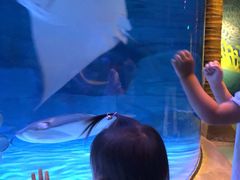 -沈阳海洋探索中心