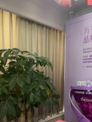 -美莱医疗美容医院