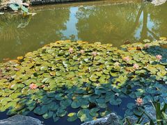 -三里河公园