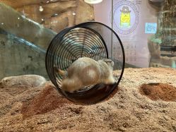 -Zoolung Zoolung动物主题公园(海信广场店)