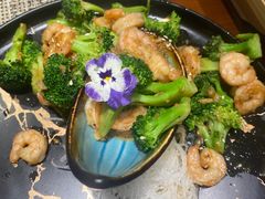 -吉之仙•中国制造•出口级食材日料店(领事馆总店)