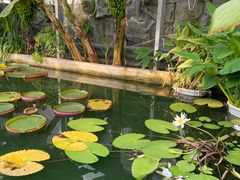 -国家植物园南园