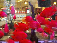 -怡咖啡海鲜自助餐厅(浦东香格里拉店)