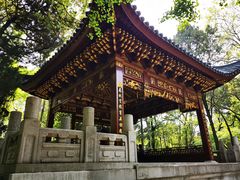 -汇龙潭