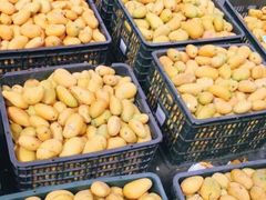 -三亚新鸿港水果一级批发市场