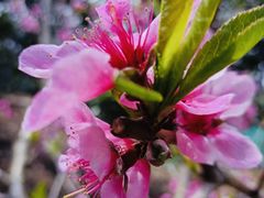-东山风景区(洞庭东山)
