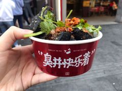 -黑色经典臭豆腐·湖南特产(坡子街店)