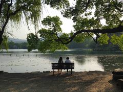 -西湖外事游船(花港观鱼码头)