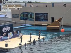 -秦皇岛乐岛海洋王国