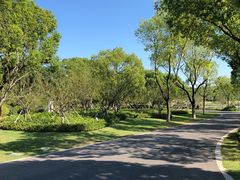 -昆山城市生态森林公园