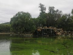 -石家庄市动物园