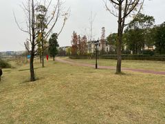 -两河城市森林公园