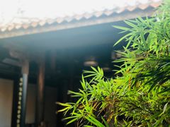 -晋江五店市传统文化旅游区