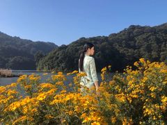 -广州市石门国家森林公园