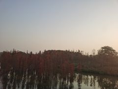 -白鹭湾湿地公园