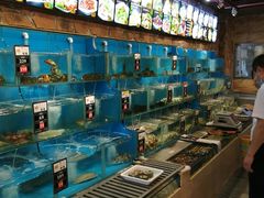 水产区-苏大嘴海鲜牧场(奥林匹克店)