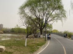 -西安世博园