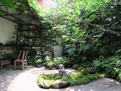-植觉
