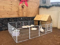 -HERRE·FARM 赫尔露营农场·团建聚会包场