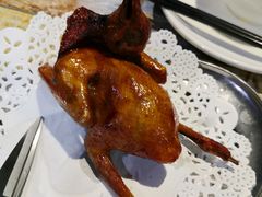 红烧乳鸽-石岐乳鸽村(南海第三分店)