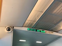 -龙阳路磁悬浮列车总站-停车场