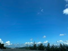 -飞凤山奥体公园