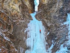 -成都泰迪熊博物馆