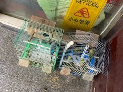 -忠义小酒馆(田东店)