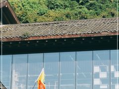 -都江堰中华大熊猫苑