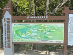 -霸王岭国家森林公园