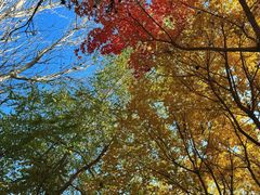 -东方华地城湿地温泉度假区