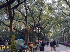 -共青国家森林公园-售票处